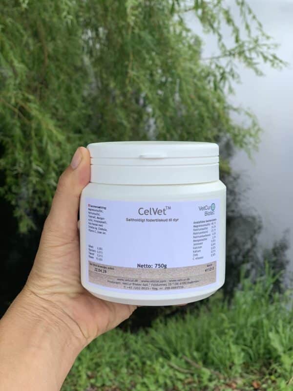 CelVet batterilader