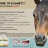 Cur1 spray - hud og pels - insektsspray - Bilde 6