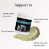 Activ Mineral - Bilde 2