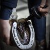 Grooming pakke - Bilde 2