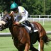 Amazing Breath for lunger og slimhinner - Bilde 3