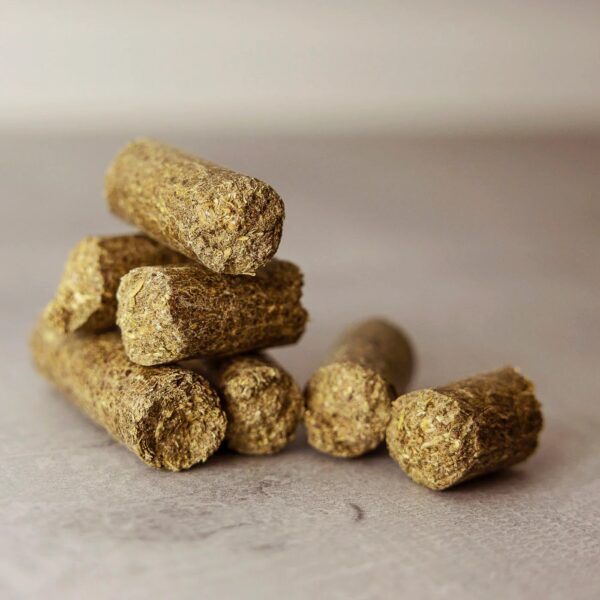 Hestegodteri – sunn Tummy Treats