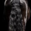 Grooming pakke – Time to Shine