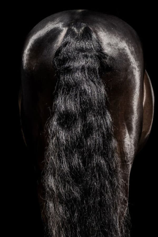 Grooming pakke – Time to Shine