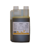 DiVet - fordøyelse (Hund)