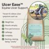 Ulcer Ease – Naturlig støtte for hester med magesår eller fordøyelsesproblemer